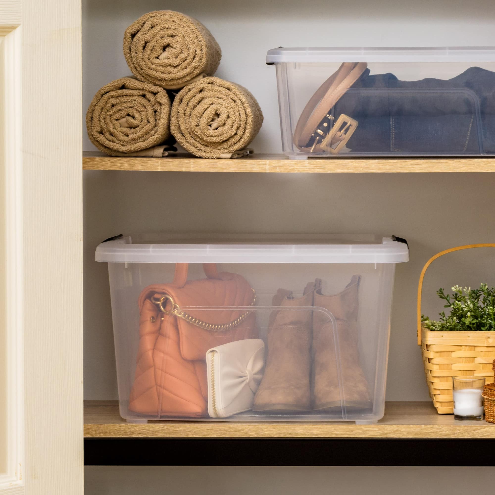 IRIS® 32qt. Buckled Clear Boxes with Clear Buckle Lids, 4ct.